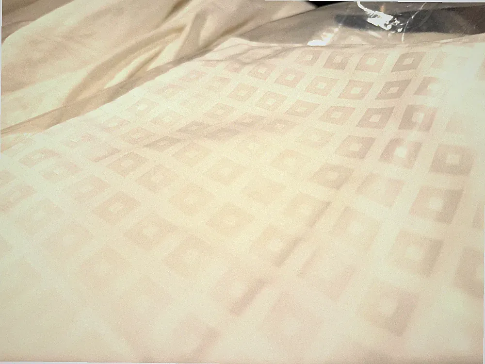 FRETTE Claudia 300CT Sateen Set of 2 Queen Pillowcases White Checker Box