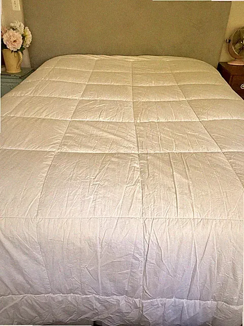 FRETTE Down Alternative QUEEN Comforter Duvet Insert White Cotton Allegra 24Oz